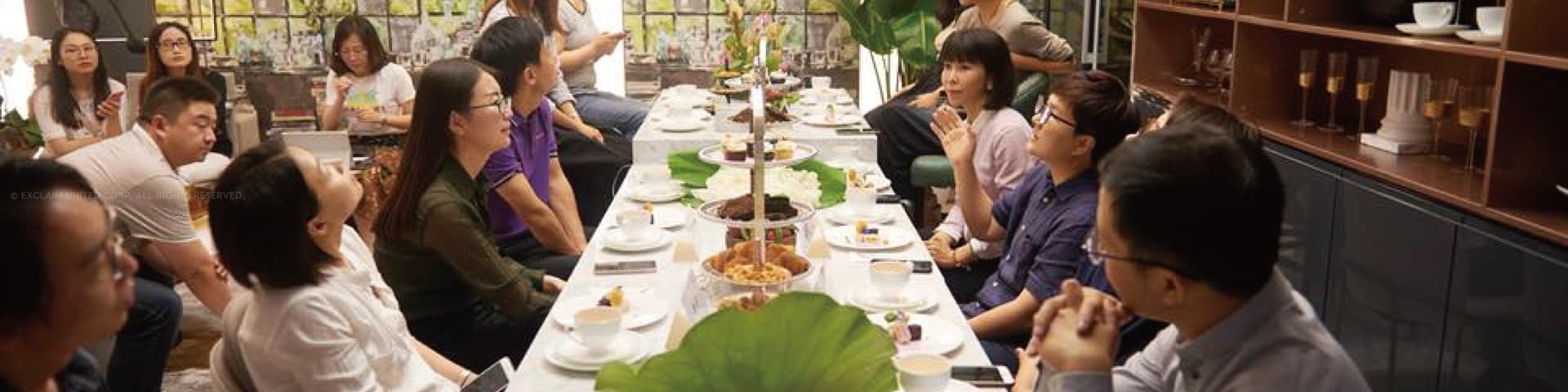 媒體品鑑會｜電建·金地華辰【私宅一號】精裝高定別墅