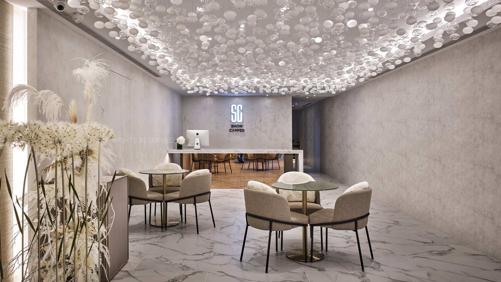COMMERCIAL INTERIOR DESIGN |
SNOW CAPPED玩美 空間影片