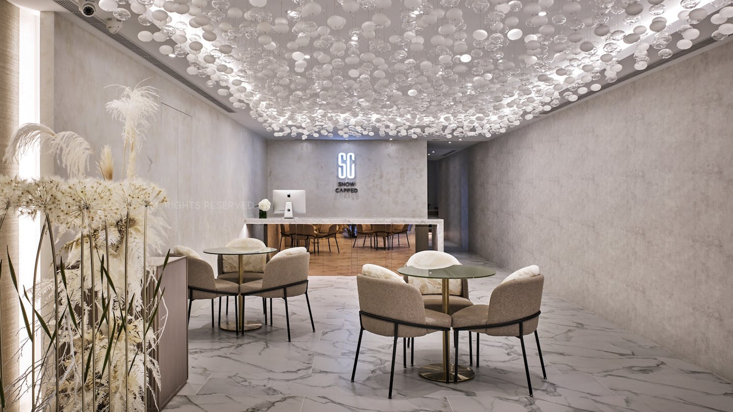 COMMERCIAL INTERIOR DESIGN |
SNOW CAPPED
A modern, Stylish, and Luxurious Representation.